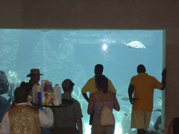 Atlantis Resort 5