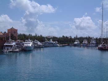 Cruise Aug 03-10