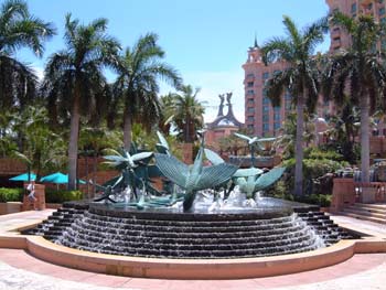 Cruise Aug 03-24