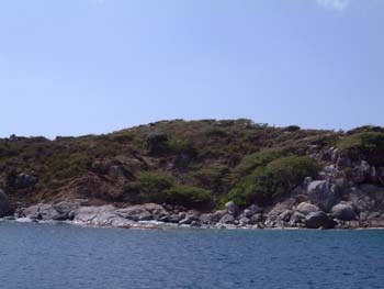 Cruise Aug 03-40