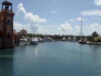 Cruise Aug 03-80