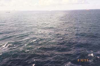 Miami 14