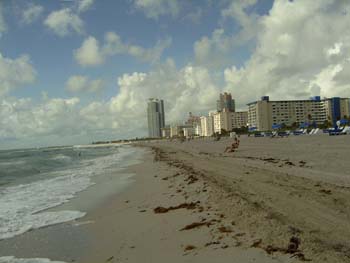 Miami 15