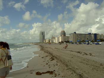 Miami 16