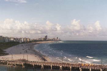 Miami 9