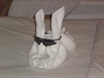 Towel Rabbit