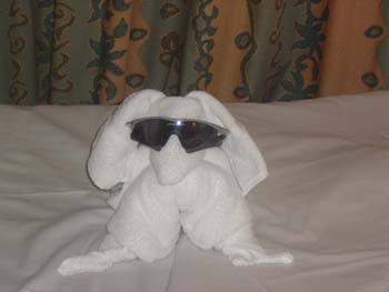 Towel dog