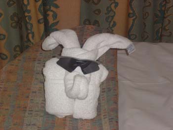 towel Elg