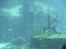 Cruise Aug 03-84