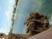 Cruise Aug 03-87