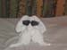 Towel dog
